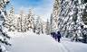 Snowshoeing in the Dolomites – Premium Adventure