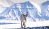Spitsbergen Circumnavigation: A Rite of Passage