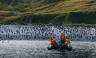 Antarctic Express: Fly the Drake