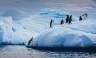 Antarctic Express: Fly the Drake