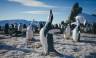 Antarctic Express: Fly the Drake