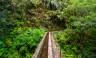 Walking the Island of Madeira