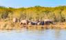 Southern Africa Safari: Kruger & Coast