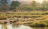 Southern Africa Safari: Kruger & Coast