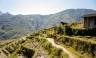 Hidden Vietnam: Sapa & Beyond