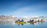South Greenland Adventure: The Majestic Alpine Arctic