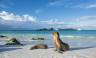 Island Hopping in the Galapagos