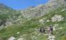 Trek the GR20 of Corsica