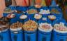 Discover Marrakech & the Atlas Mountains