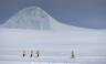 Antarctic Express: Fly South, Cruise North