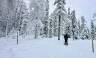 Finland Family Winter Adventure