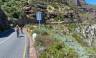 Cycling South Africa’s Garden Route