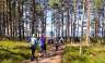 Estonia to Finland Adventure