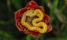Eyelash-Viper,Costa Rica