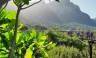 Highlights of South Africa’s Winelands