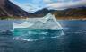 Greenland to Newfoundland: Mountains, Wildlife and Viking History