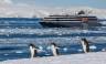 Antarctic Express: Fly South, Sail North via Buenos Aires