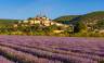Discover Provence