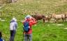 Walking in Andorra