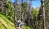 Walking in Andorra