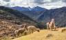 Lares Trek to Machu Picchu