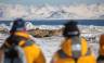 Svalbard in Spring: Sea Ice, Pristine Snow and Wildlife