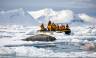 Svalbard in Spring: Sea Ice, Pristine Snow and Wildlife