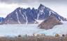 Svalbard in Summer: Tundra, Whales and Wildlife