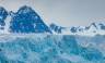 Spitsbergen Highlights: Wildlife Capital of the Arctic