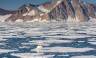 Spitsbergen Highlights: Wildlife Capital of the Arctic