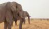 Discover Namibia – Premium Adventure