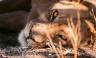 Discover Namibia – Premium Adventure