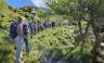 Evia Group Hike