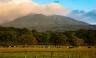 Guanacaste