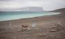 Canadian Arctic: Wildlife, Helicopters, & the Northwest Passage (Kangerlussuaq)