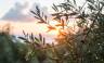 Hiking Portugal & Spain’s Historic Frontier