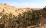 Oasis of Chebika