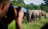 Yala National Park