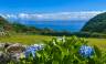 Walking in the Azores
