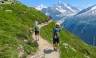 Walking Tour du Mont Blanc – Premium