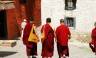 Discover Tibet