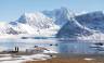 Scotland to Spitsbergen: Puffins, Sea Ice and Wildlife