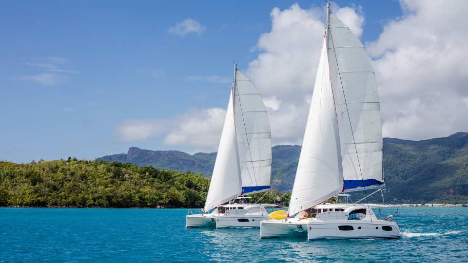 catamarans 