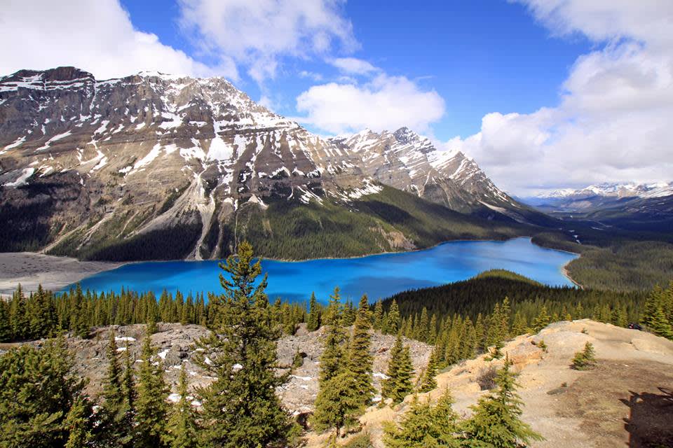 Sjön Peyto Lake Kanada