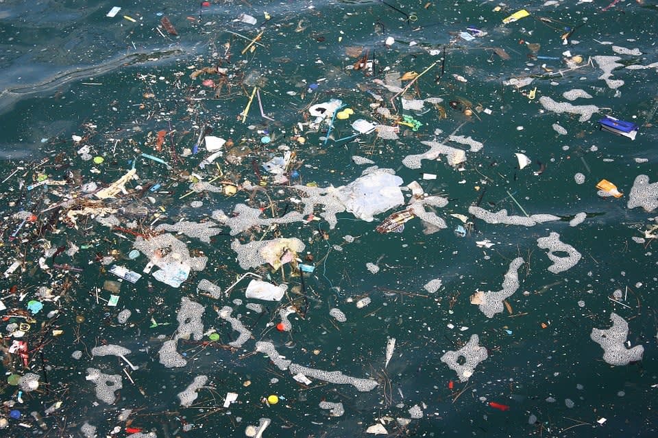 Naviguer et être responsable sur le plan écologique
