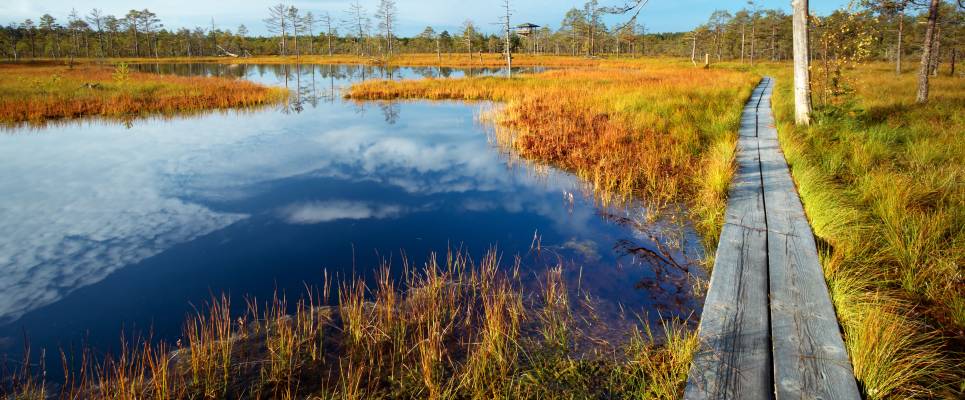 Discover the Baltics