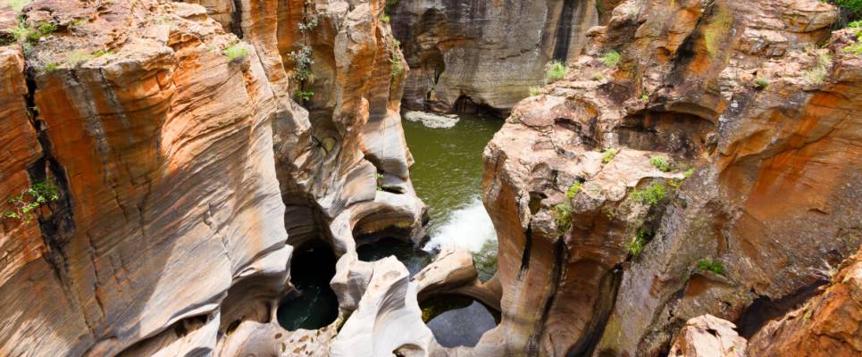 Southern Africa Safari: Kruger & Coast