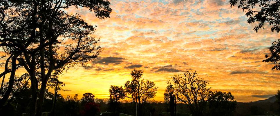 Cycle Kerala & Tropical India