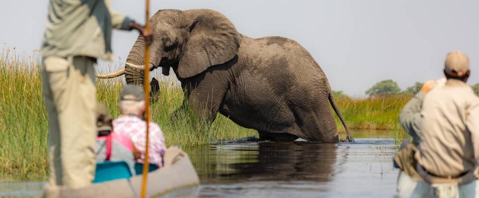 Botswana & Zimbabwe Lodge Safari