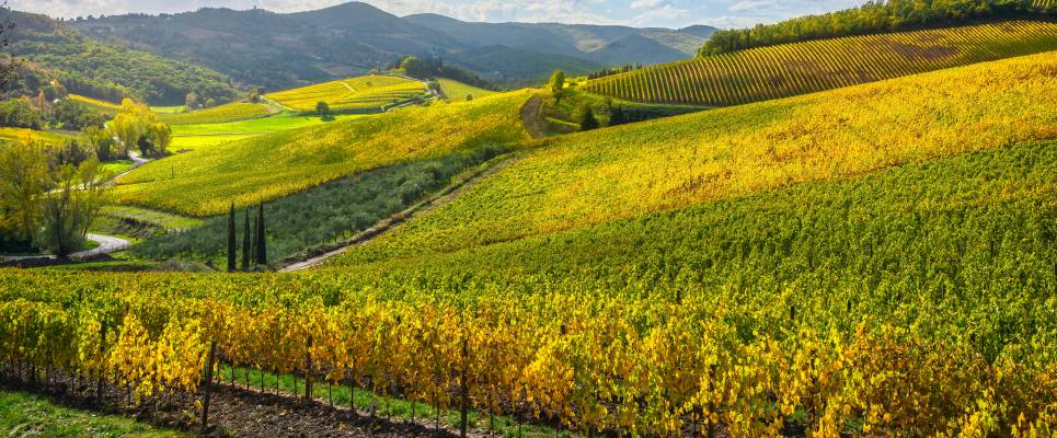 Tuscany Walks & Chianti Wines